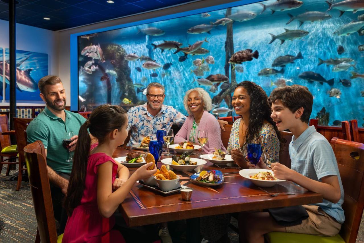 Rumfish Beach At Tradewinds St. Pete Beach Ngoại thất bức ảnh